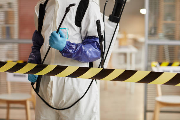 Professional Blood Cleanup technician working in Banquete, TX